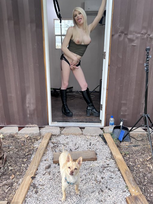 3 pic. Omg you were on fire! ? Thank you Izzy!! @TsIzzyWilde Such a hot shoot! @TSSeductionSite @AndrewMPDarling