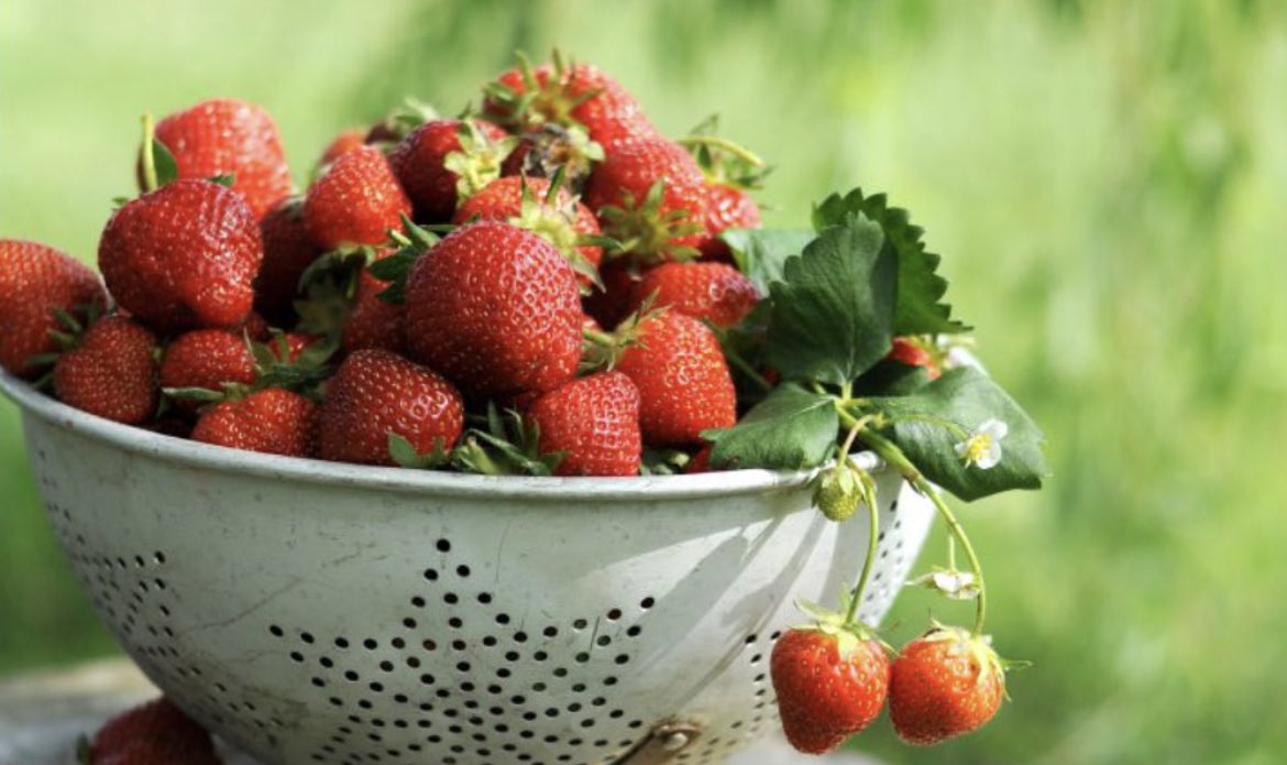 IBEX Grows tweet media