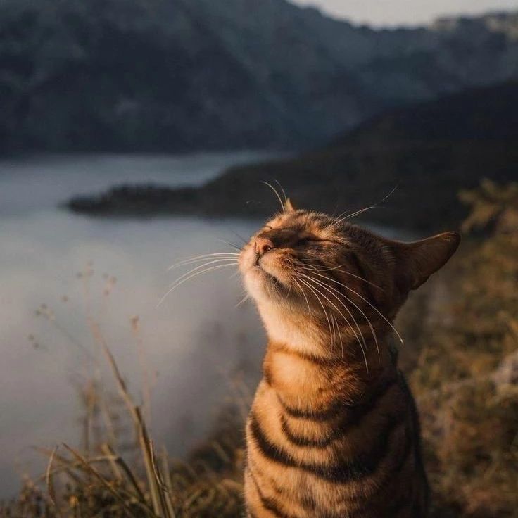 Cuando sos emprendedor, olfateas la #posibilidad en cada día!! 

#ActitudRemaxNorte