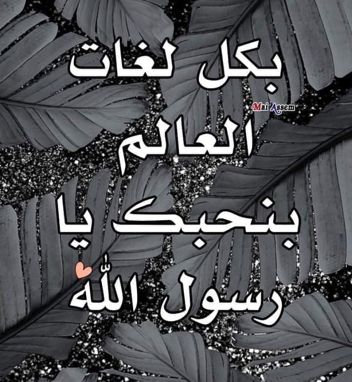 lylhlylh2's tweet photo. ليله الجمعه المباركه والنصف من شعبان
     عليه افضل الصلاه والسلام https://t.co/jtBMK3Zqzl