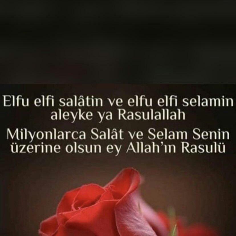 Özledim seni ya resulallah
                Gel bu gece