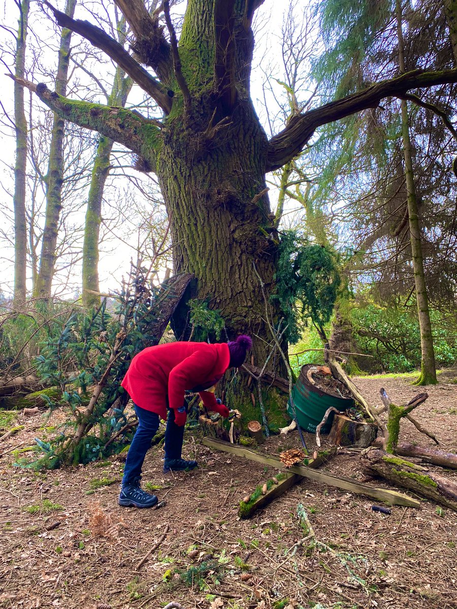 JustSingScot's tweet photo. DAY 2 of @BoldScotland Bright Sparks training under blue skies of @ballathiehouse Landscape Art, Theory &amp; Practice of Presencing, Social Leadership Skills of Self-Reflection, Observation, Group Reflection, Action @ProfBrendan @Artful_Minds @ElaineKordys @acevoices @knoxacademy https://t.co/kqZjxsoiQU