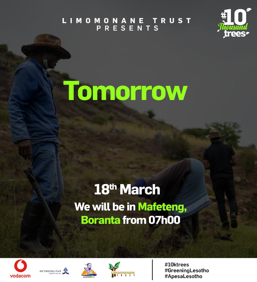 limomonane's tweet photo. Thank you all for  your continued support towards the #10KTrees #GreeningLesotho campaign. We successfully planted trees at 'Muela alongside Lesotho Agricultural College &amp; the community's pensioners.

Let's continue the energy for tomorrow, 7am in Mafeteng, Boranta.
#ApesaLesotho https://t.co/wWg63MbWfQ
