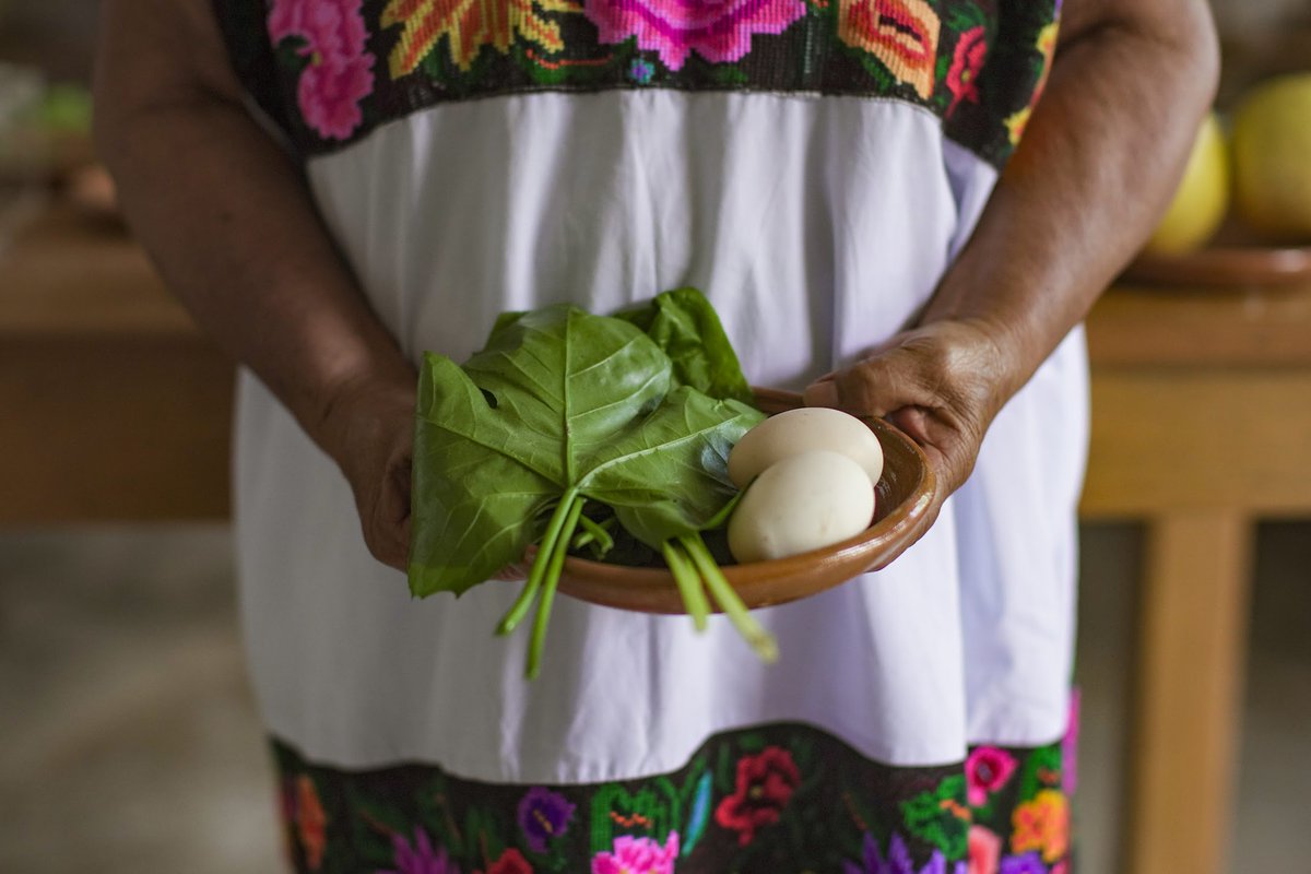 Rutopía | Viajes auténticos por México 🍃 tweet media