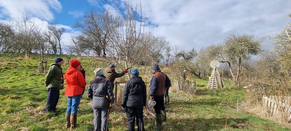 BFTWildlife's tweet photo. Thank you to everyone who came to #Crailing community #orchard today to help prune the #fruit #trees https://t.co/86HNQICWkt