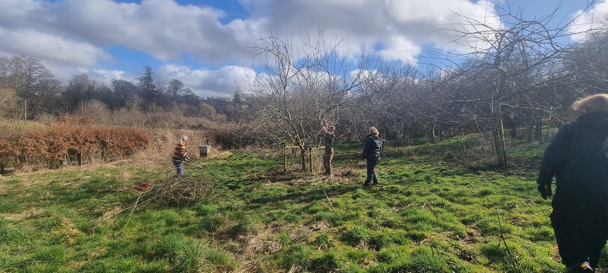 BFTWildlife's tweet photo. Thank you to everyone who came to #Crailing community #orchard today to help prune the #fruit #trees https://t.co/86HNQICWkt