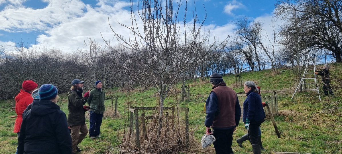 BFTWildlife's tweet photo. Thank you to everyone who came to #Crailing community #orchard today to help prune the #fruit #trees https://t.co/86HNQICWkt