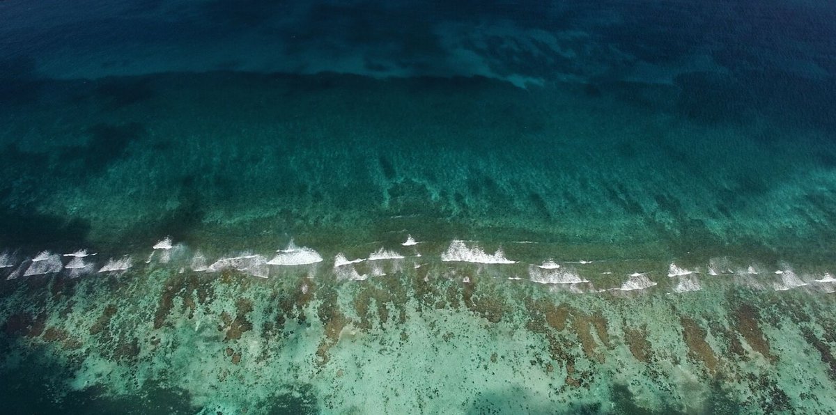 Rutopía | Viajes auténticos por México 🍃 tweet media