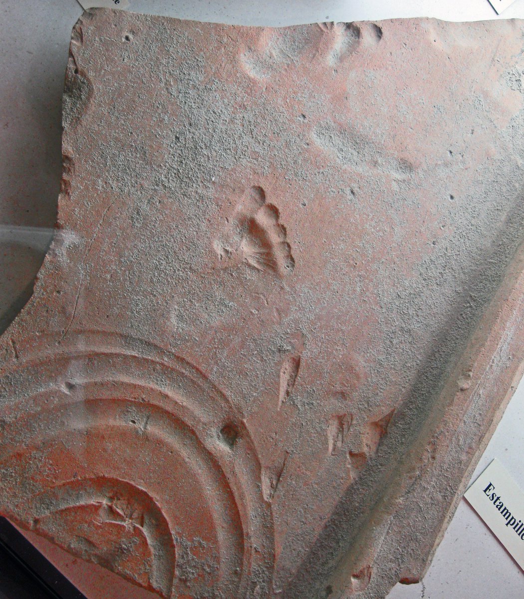 Roman clay tile with footprint left by a toddler as it dried 2000 years ago, Vaison-la-Romaine (ancient Vasio Vocontiorum). Photo taken by me at the Théo Desplans Museum, Vaison-la-Romaine, France.