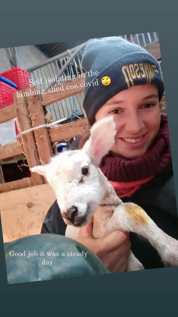 Defs not feelin that flash now😑the shakes have hit hard. V thankful not to be on night checks. #covid #lambing2022