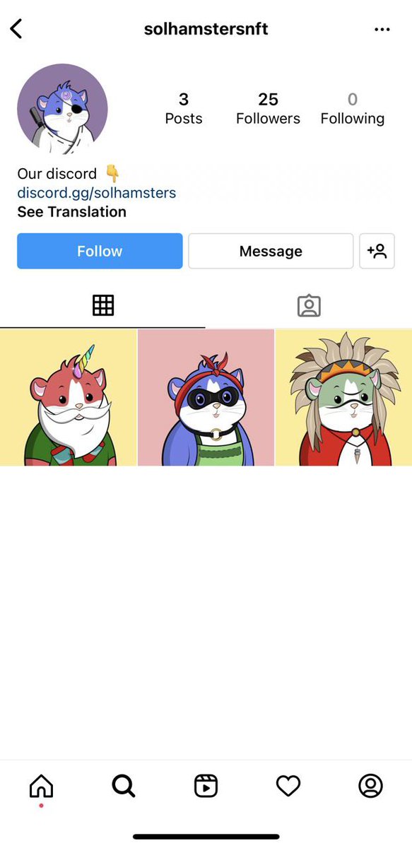 SolHamsters tweet media