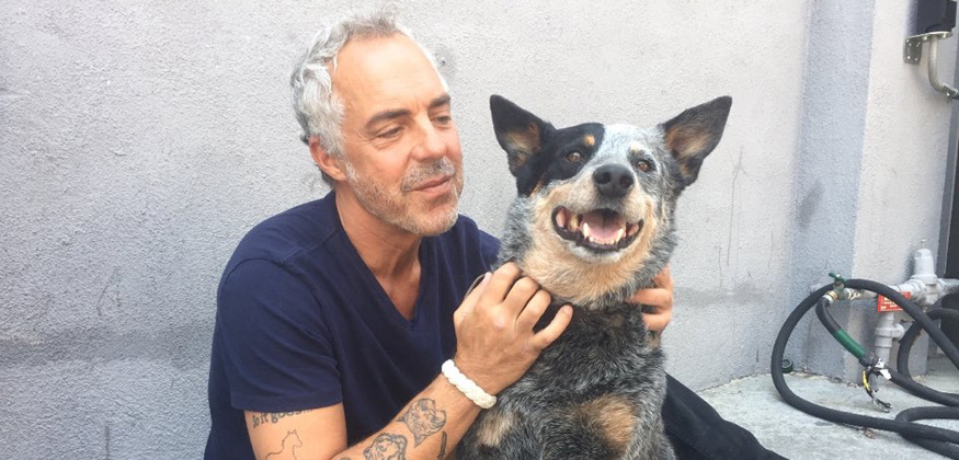 Avnrulz's tweet photo. So, a co-worker now has #Coltrain as his nickname on his hard hat, but all I can picture is #DetectiveColtrane
@welliver_titus @HarryBoschQuote @BoschTVFansite https://t.co/ej0org0psw