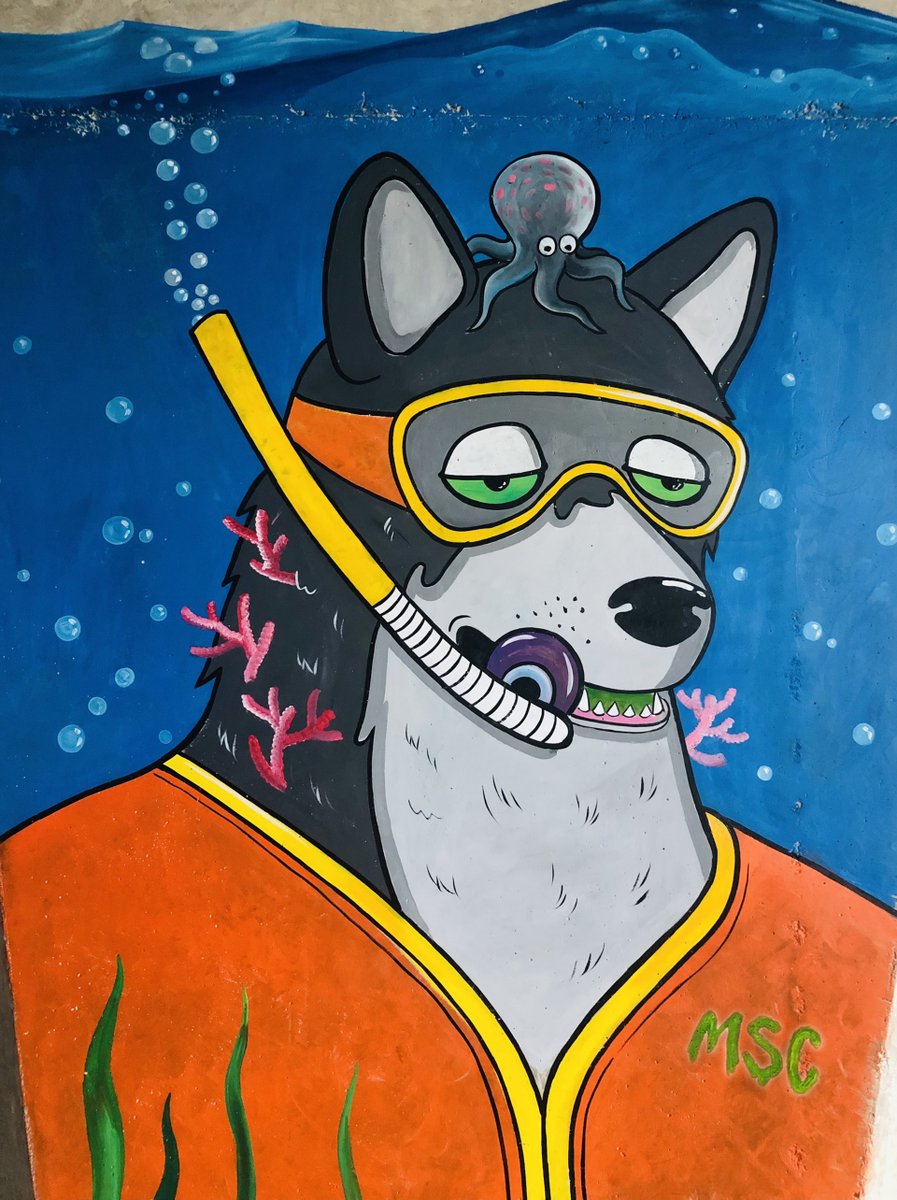 tranges889's tweet photo. Today is my 7rd day of trying.
I'm working on the concept of the project of colors of life, and bringing Shiba to spreading and close to the community.
@MutantShibaClub
@berrytheartist
@crazyJUUMP
@Gaba8545
@LordSlabs
@AngryVikingzNFT
@elforjani_ali
#MSC #MutantShibaClub https://t.co/Flkef1wnjj