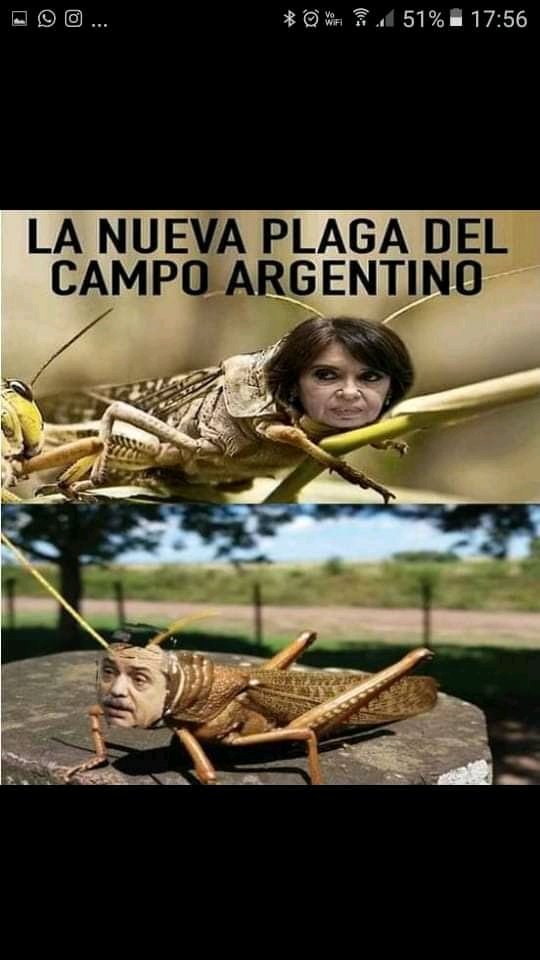monisanzo's tweet photo. Bueno, no tan nueva... difícil de eliminar !!! https://t.co/d3ipLLikeM