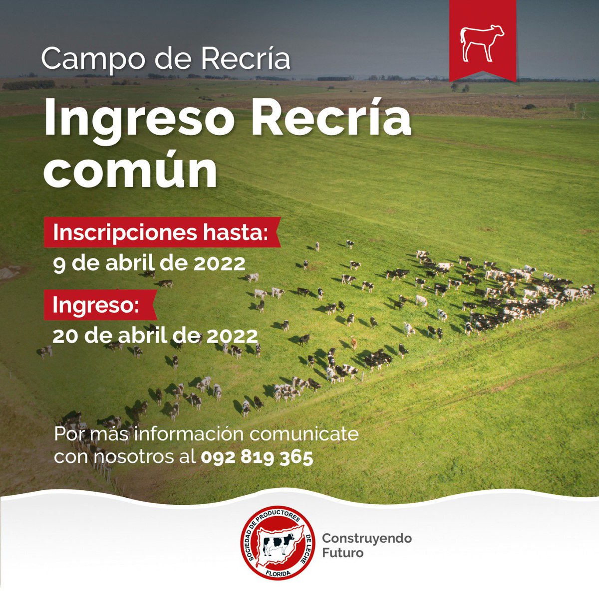 _splf's tweet photo. 📢Ya están abiertas las inscripciones para ingreso a campo de Recría Tradicional. 🐄  
Por información y/o consultas no dudes en comunicarte con nosotros 📲092819365

#splf #construyendofuturo #campoderecría #llamado #ingreso https://t.co/xS92JijM8u