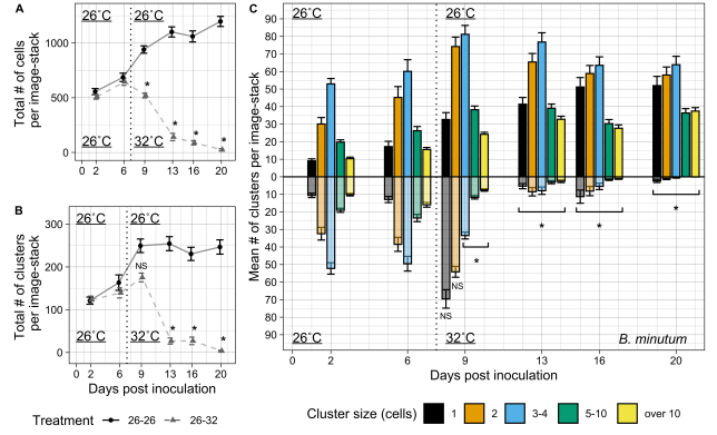 Ever wonder how Symbiodiniaceae populate cnidarian hosts and how the process reverses during bleaching? Check out this new study by <a href="/trevortivey/">Trevor Tivey</a> from his time in <a href="/WeisLab/">Weis Lab</a>. #Aiptasia #symbiosis tinyurl.com/4kvv8znb