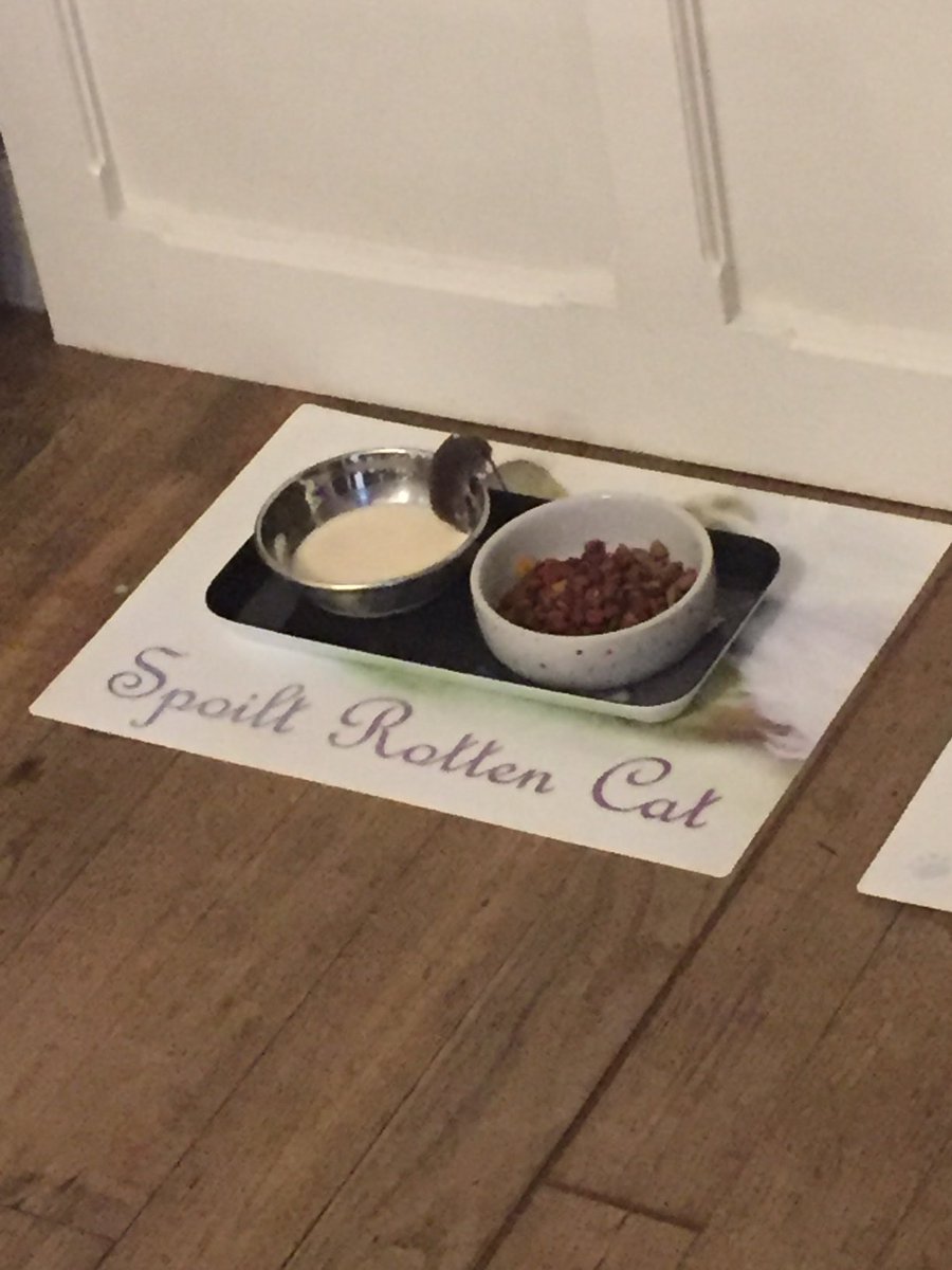 Here is our house vole.