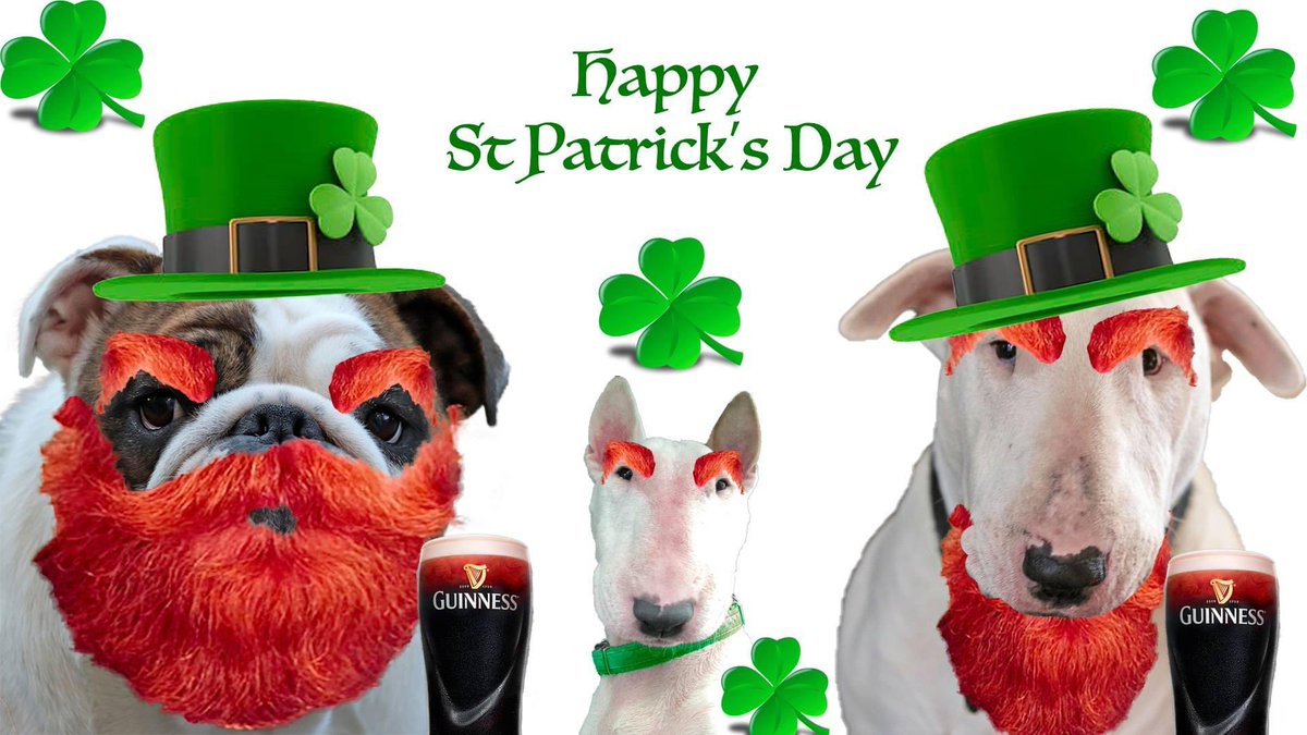 Orton_Bullies's tweet photo. #StPatricksDay https://t.co/I3uOK1DxrI