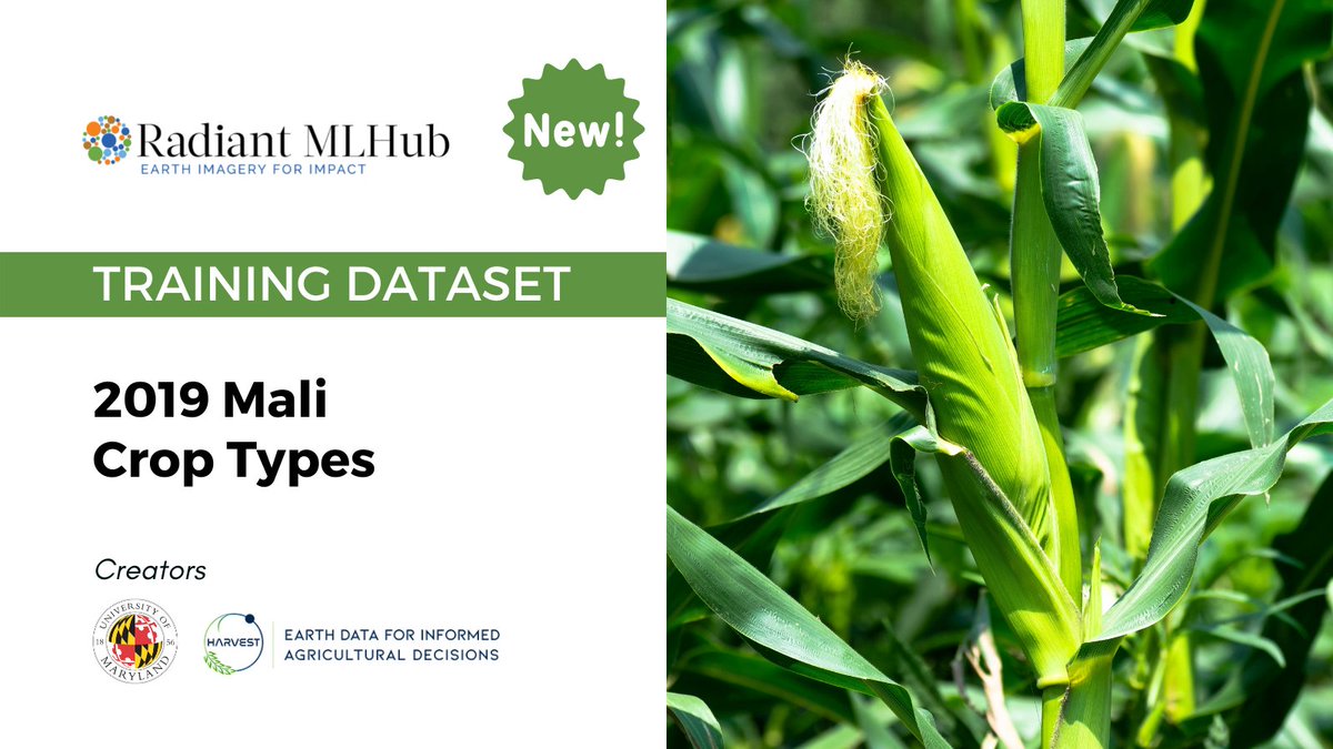 OurRadiantEarth's tweet photo. New to #RadiantMLHub is the 2019 Mali #CropType Training Data from our friends, @NASAHarvest!
This open-access dataset includes crop types labels w/ a time-series of #Sentinel imagery during the growing season. Ground reference data collected via @getodk: https://t.co/rLrly1RIBy https://t.co/5GRgJ56rt3