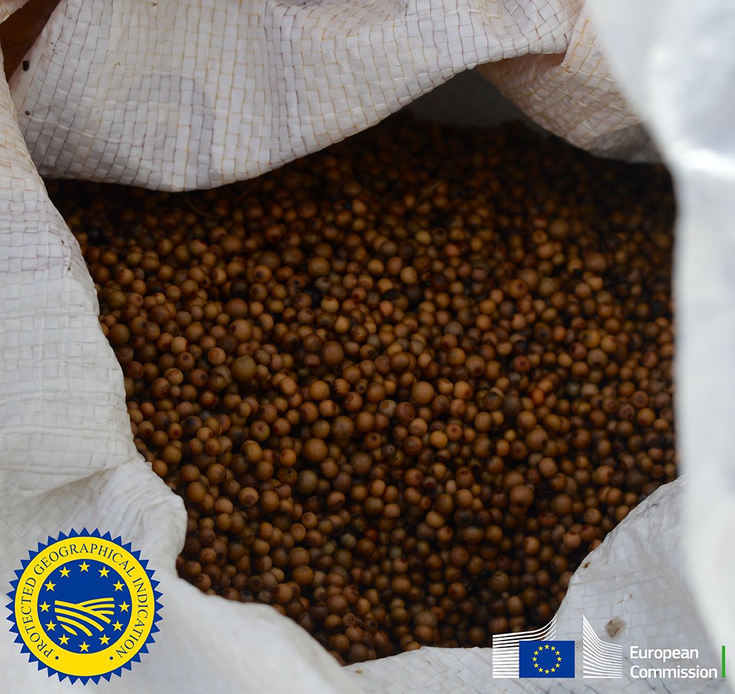 UEauCameroun's tweet photo. L’#UE salue la qualité du Poivre de Penja !
Cette épice réputée pour ses qualités uniques a obtenu la reconnaissance européenne. Et devient le 1er produit (zone OAPI) enregistré comme Indication Géographique Protégée sur le marché UE.

https://t.co/fLjnNbvWvm

#AfricaIPR
#EU_IPO https://t.co/ev0E8CVZAl