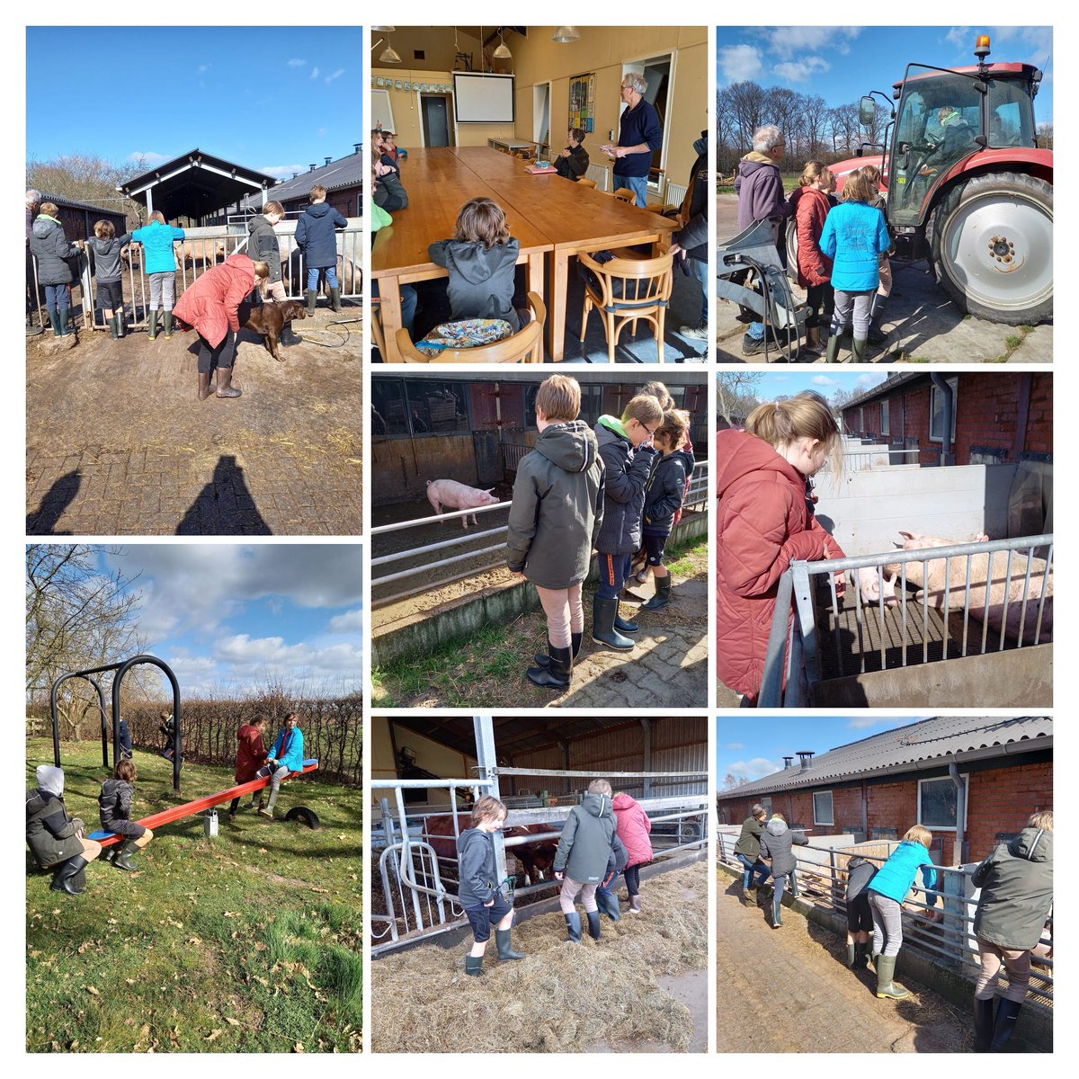 Vanmiddag zijn de kinderen van groep 6 voor het eerst naar de schooltuin geweest. Het is de bedoeling dat ze wekelijks richting Overesch ecologische landbouw  gaan..
@JanOveresch