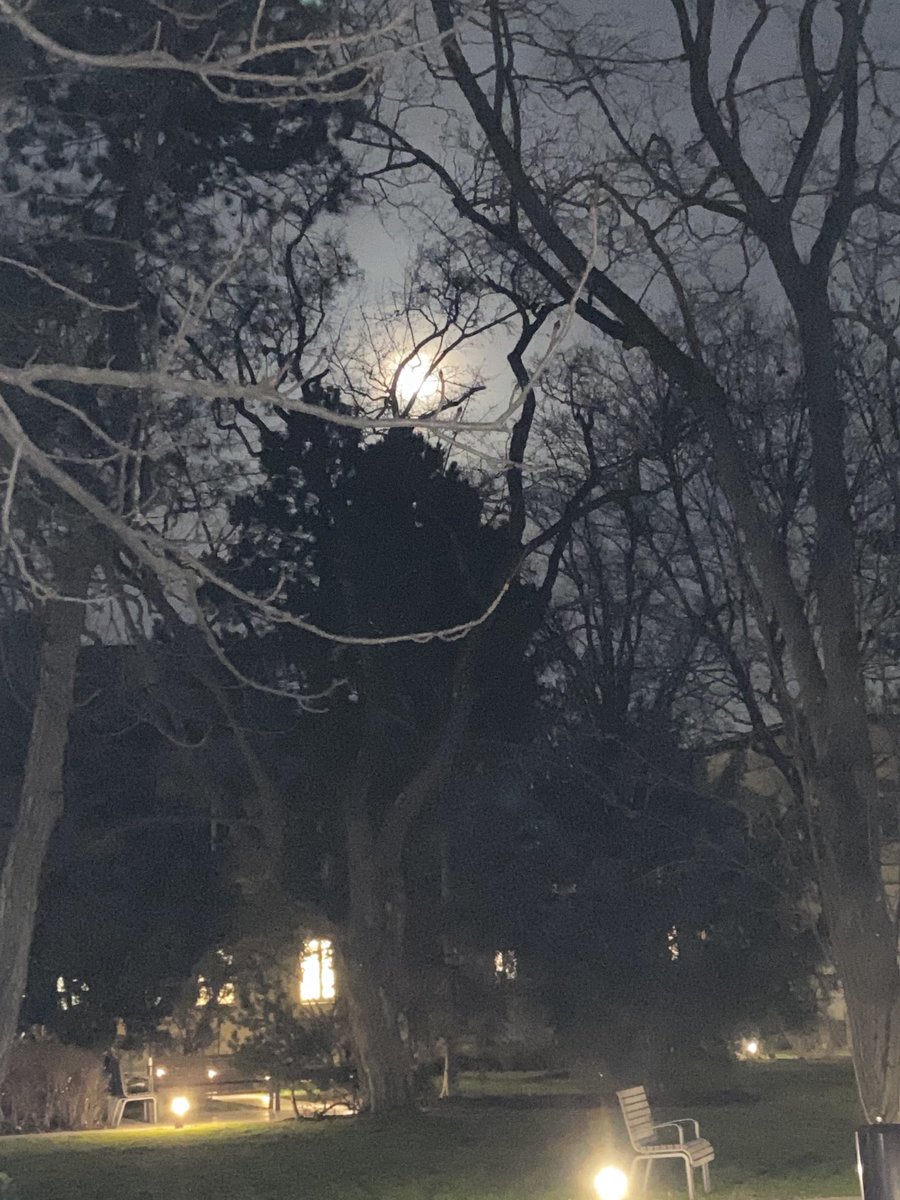 GVacek1's tweet photo. Vollmond im Sahara Sand gehüllt https://t.co/mMMYk1ePjI