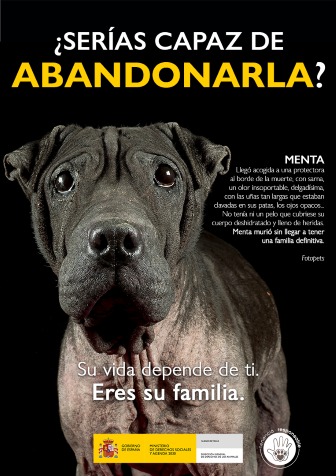 Ayto_Sevilla's tweet photo. 🐶 Adopta
🐱 Cuida
🦮 Protege
😻 Quiere

▶️ Tener un animal en casa conlleva multitud de beneficios pero también responsabilidades. Debes cuidar y mimar a tu mascota, garantizando su bienestar.

¿Quieres adoptar? Consulta aquí: https://t.co/zXwWx0nxTo https://t.co/DX8ar9FP6o