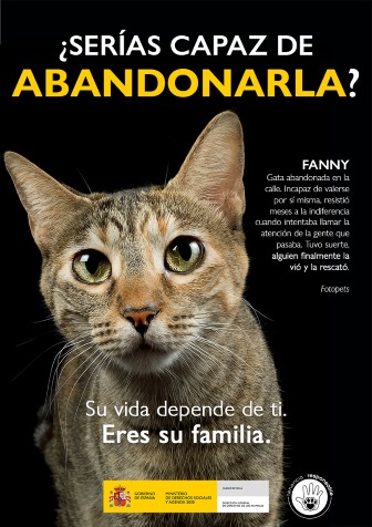 Ayto_Sevilla's tweet photo. 🐶 Adopta
🐱 Cuida
🦮 Protege
😻 Quiere

▶️ Tener un animal en casa conlleva multitud de beneficios pero también responsabilidades. Debes cuidar y mimar a tu mascota, garantizando su bienestar.

¿Quieres adoptar? Consulta aquí: https://t.co/zXwWx0nxTo https://t.co/DX8ar9FP6o