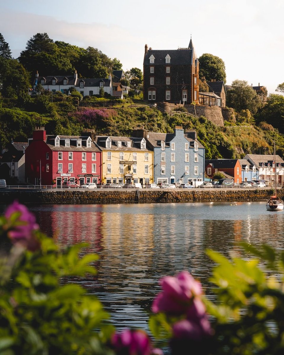 Who else loves the #ScottishSpring? 🙋🌺 Finally the days are getting longer again - making more time for adventure! What's on your bucket list this spring?
📍 Tobermory, #IsleofMull
📸 Lovely photo by IG // _stevenmurphy_
#wildaboutargyll