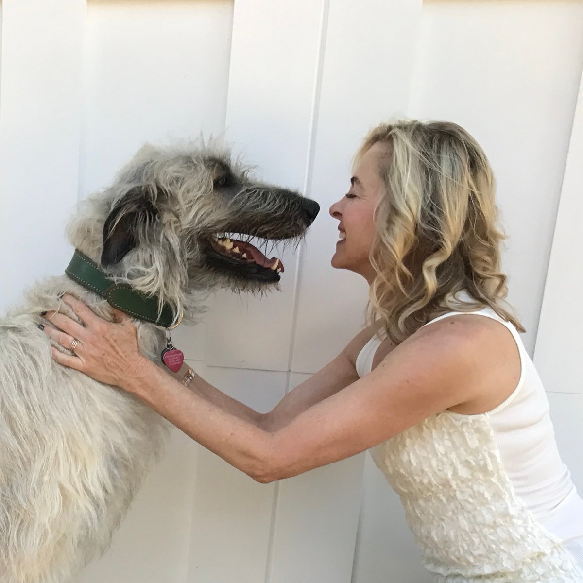 BitchfixChoc's tweet photo. Kiss me, I'm Irish (Wolfhound)! 🍀 When you order from us, 10% of all proceeds go to support local spay &amp; neuter programs across Los Angeles.⁠ Support a great cause and shop now at https://t.co/B65n7VRgH1

#givebackbrands #brandsthatgiveback #stpatricksday #happystpatricksday https://t.co/snurkPNcwo