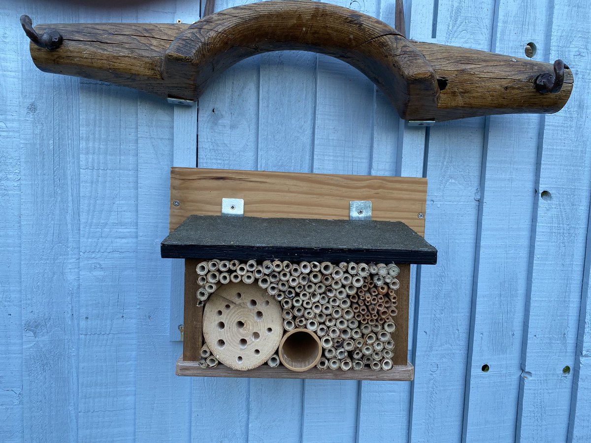 Evie and I erected a “bee hotel” in our Boreham, #Essex #garden this Thursday pm. On a S facing fence near the pond #wildlife #insects <a href="/EssexFieldClub/">Essex Field Club</a> <a href="/EssexWildlife/">Essex Wildlife Trust</a> <a href="/bc_cambs_essex/">BC Cambs and Essex</a> Now we wait for the bees