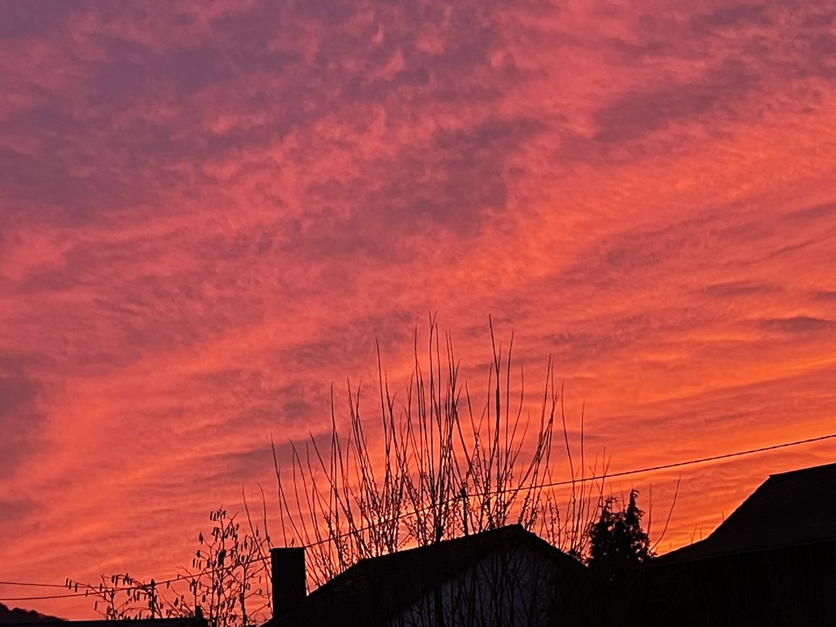 Forster_Steffi's tweet photo. #Farbenspiel am Horizont. https://t.co/DyZ2bwuEzQ