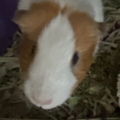 odetoolivia's tweet photo. #NewProfilePic https://t.co/LbUpz7UuZx