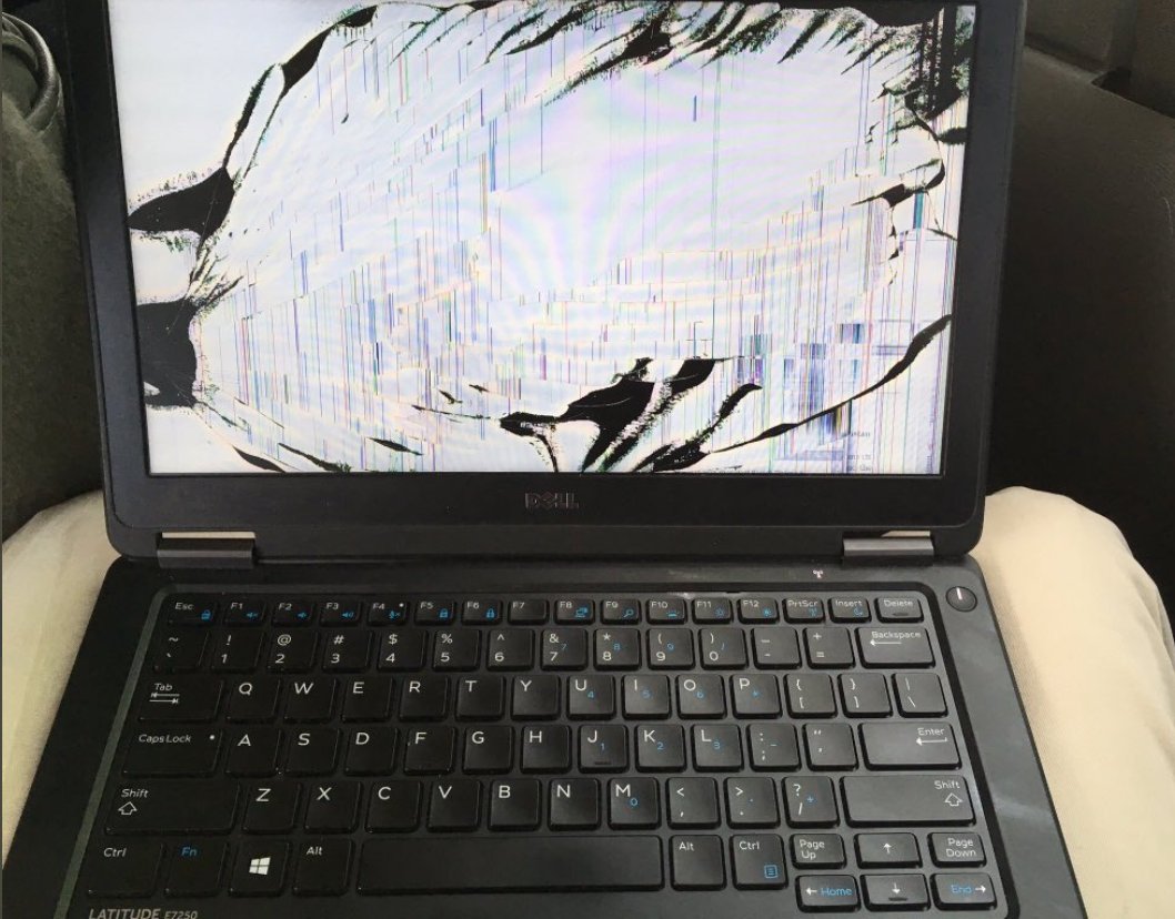 Roberta Rampton tweet media