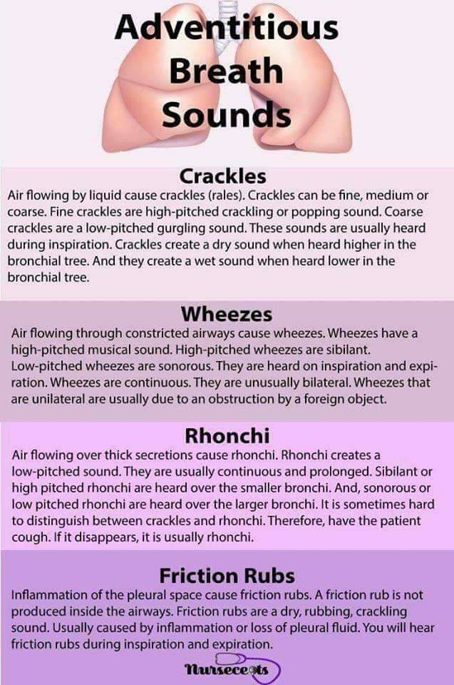 medictests's tweet photo. Quick Reference: Adventitious breath sounds https://t.co/sgGd5aZPtA