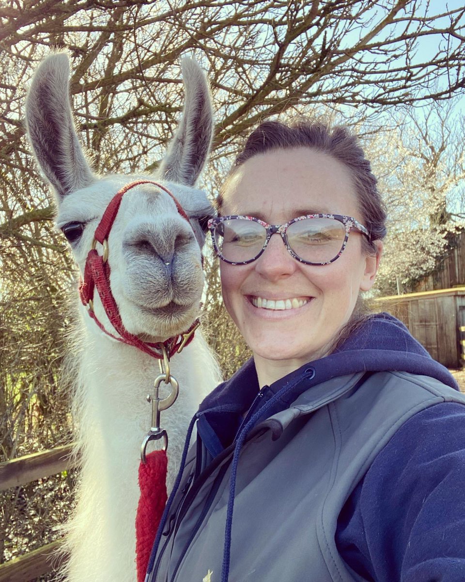9 years of llama love!! 🦙 ❤️ 

9 years ago today I did my first trek ever trek with the gorgeous Grappa and never looked back. Time flies when you’re having fun 🤩 

#9years #catangerllamas #llamatrekking #trek #llamas #anniversary #northamptonshire