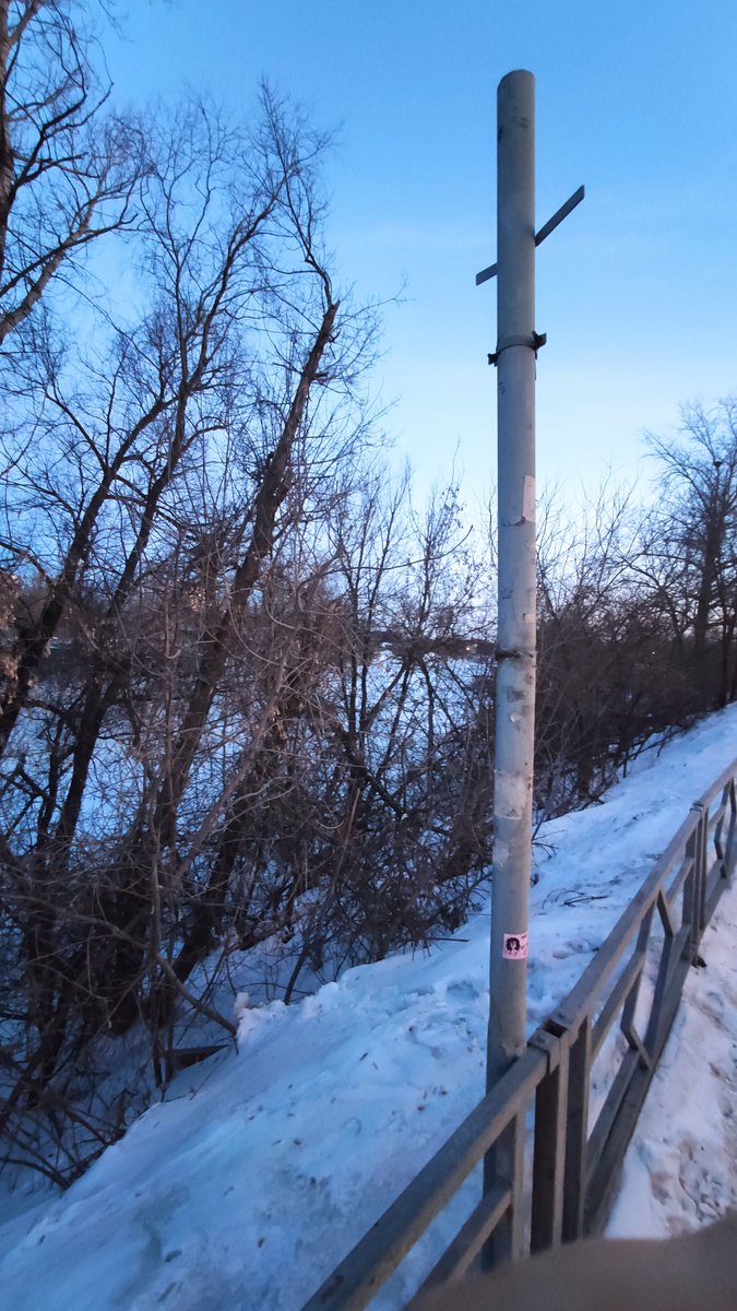 Антон Л. tweet media