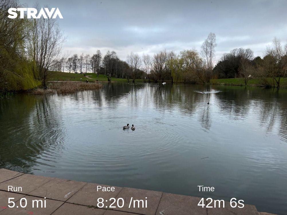 Run_MurrayRun's tweet photo. Needed to think through a few things with work, so what better way to do it than to get out whilst it’s still light. Of course the stress tends to mean it’s a little quicker than usual, but it still help! 💪 #ukrunchat #runchat #destress #running https://t.co/9sbgSDS76Q