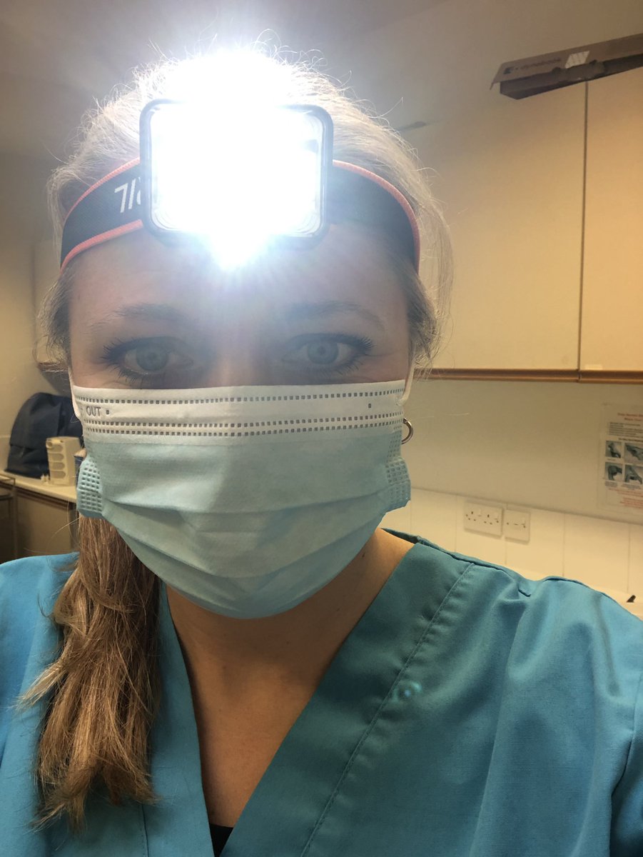 Dr Bella Smith tweet media