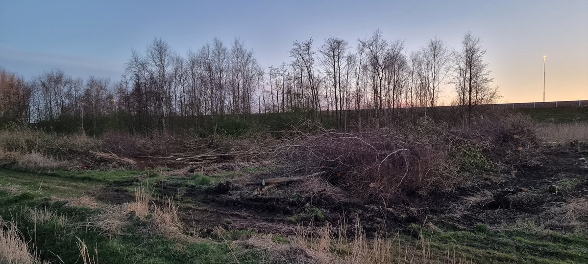 JWRijnbeek's tweet photo. @MirandaLelieve1 @Raad015 @zuid_holland @GemeenteDelft Vandaag ook grootschalige bomenkap tussen tanthof en A4, het beetje groen wat er nog was na de A4 en 380 kv ellende is nu ook grotendeels weg! https://t.co/pxzexAGnSv