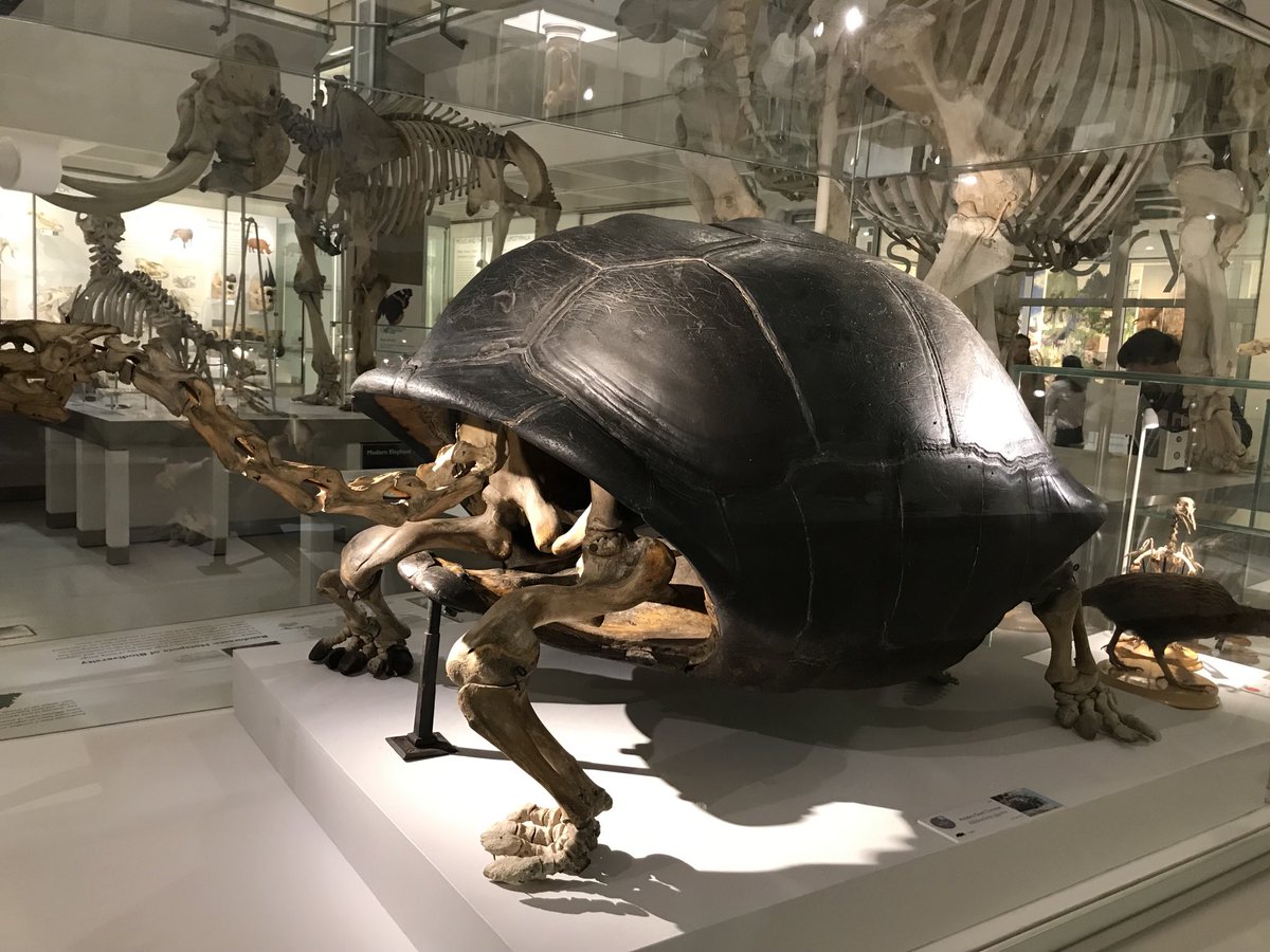 ⁦<a href="/AshtonsLegal/">Ashtons Legal LLP</a>⁩ #treasurehunt2022 love this exhibit!  No messing with this!