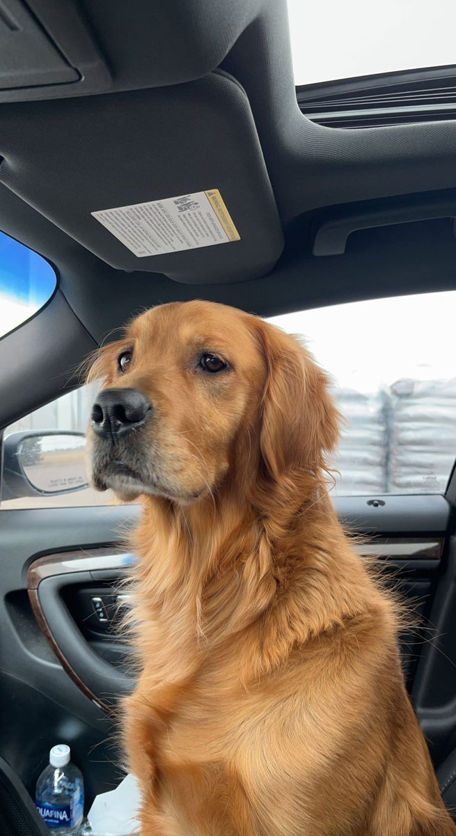 nichelob ultra tweet media