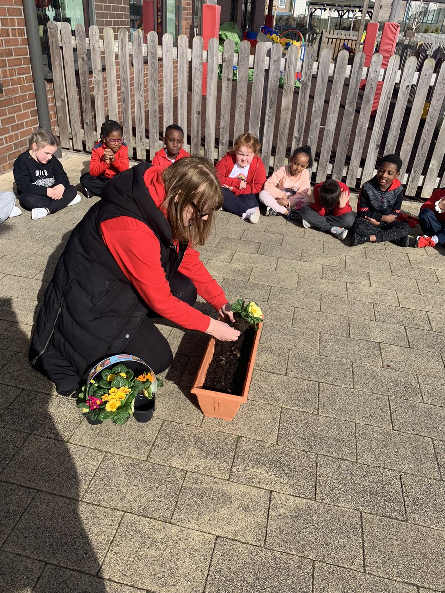 missholroyd's tweet photo. Thank you Mrs Davies for helping us plant these gorgeous flowers 💐 🌺 🌸 https://t.co/LajZcs1rhE