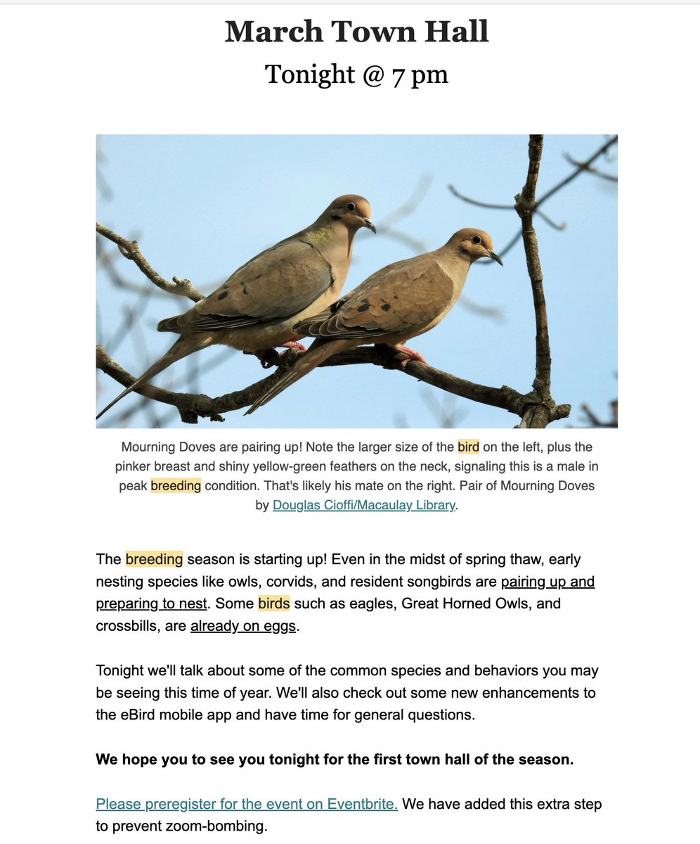 qcbirdclub's tweet photo. Tonight--NYS Breeding Bird Atlas III first Town Hall of the season.  Learn about what breeding birds &amp; behavior to look for now &amp; new eBird enhancements. Register at Eventbrite: https://t.co/bpffJE5IyN  #NYSbirds #breedingbirdatlas #birdsofNYS https://t.co/IHkyEq42iW