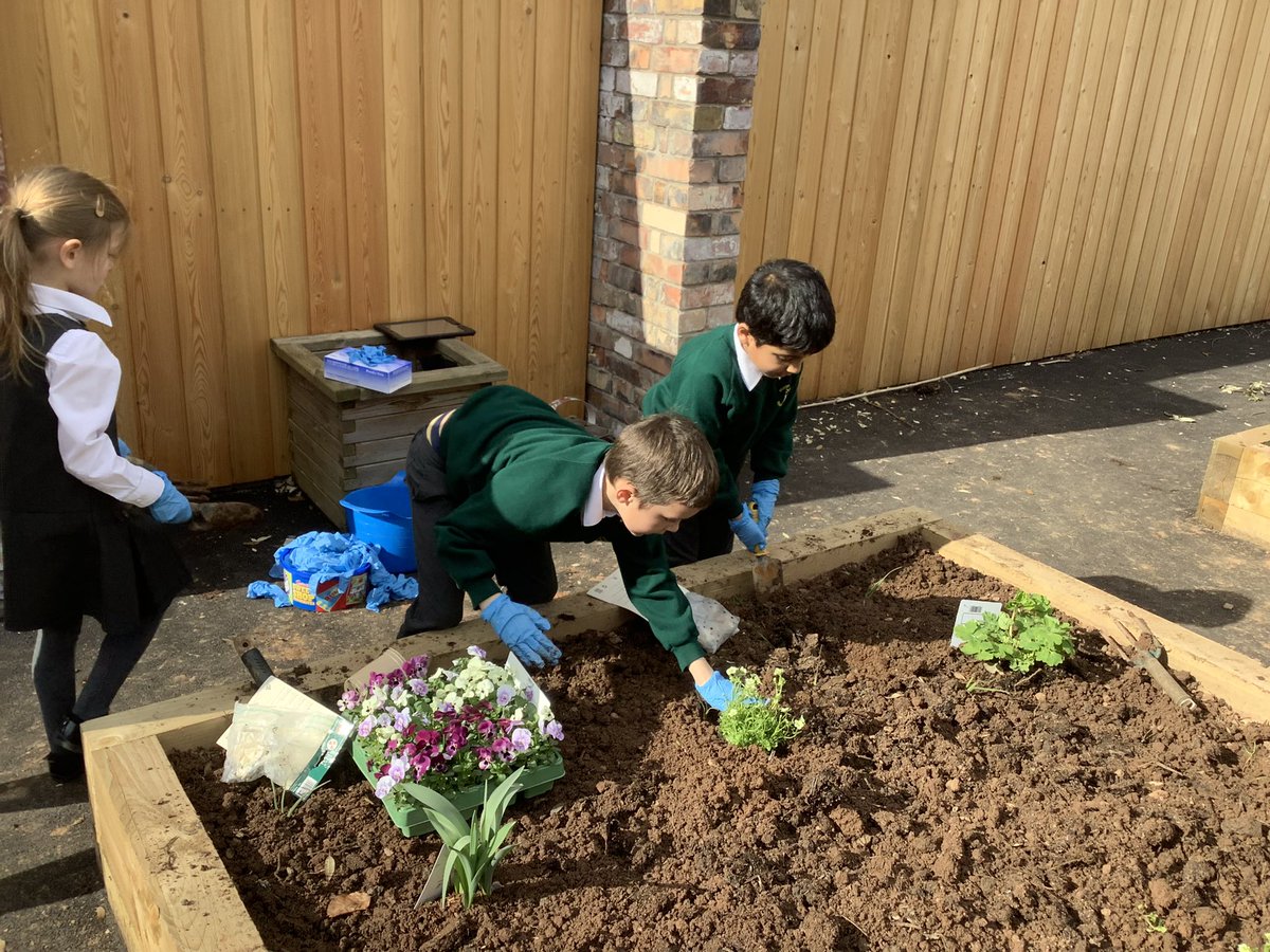 Court Royal tweet media