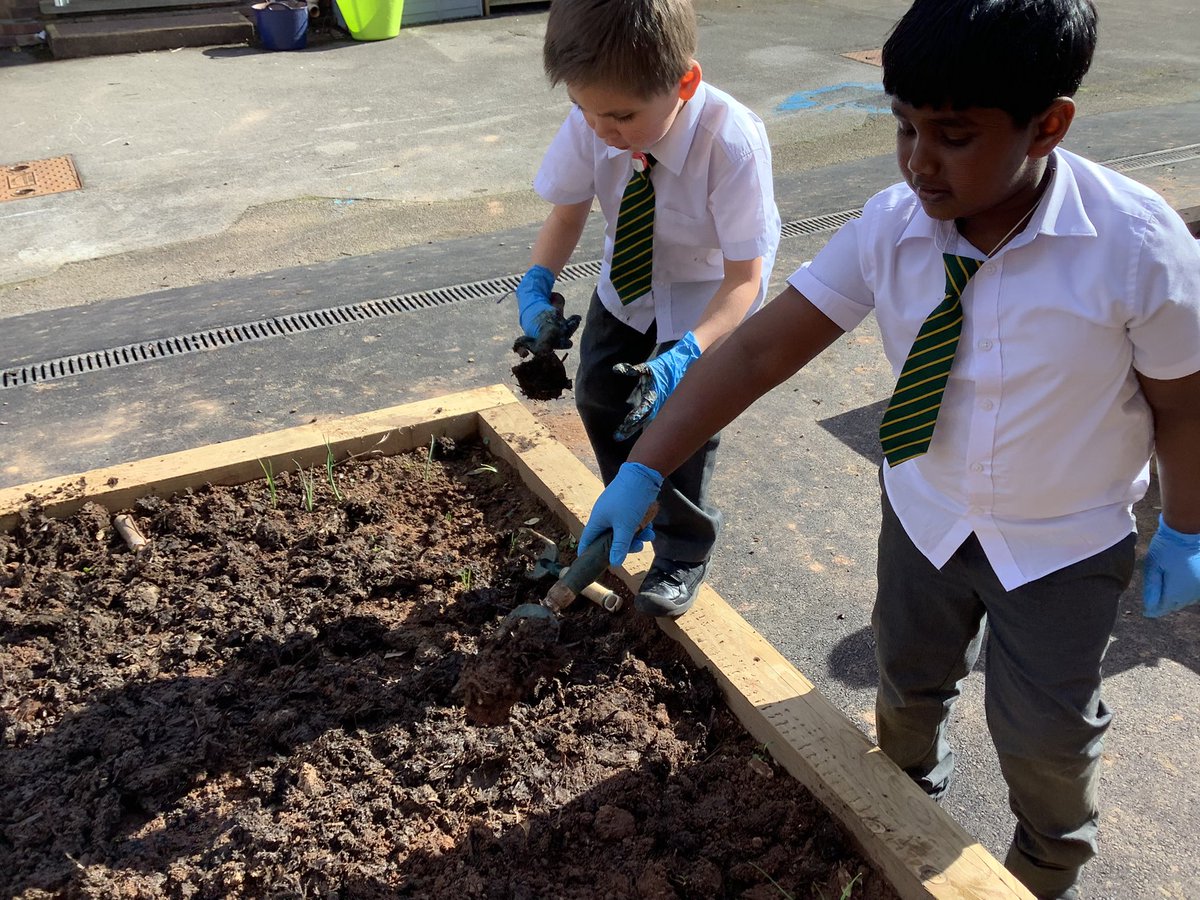 Court Royal tweet media