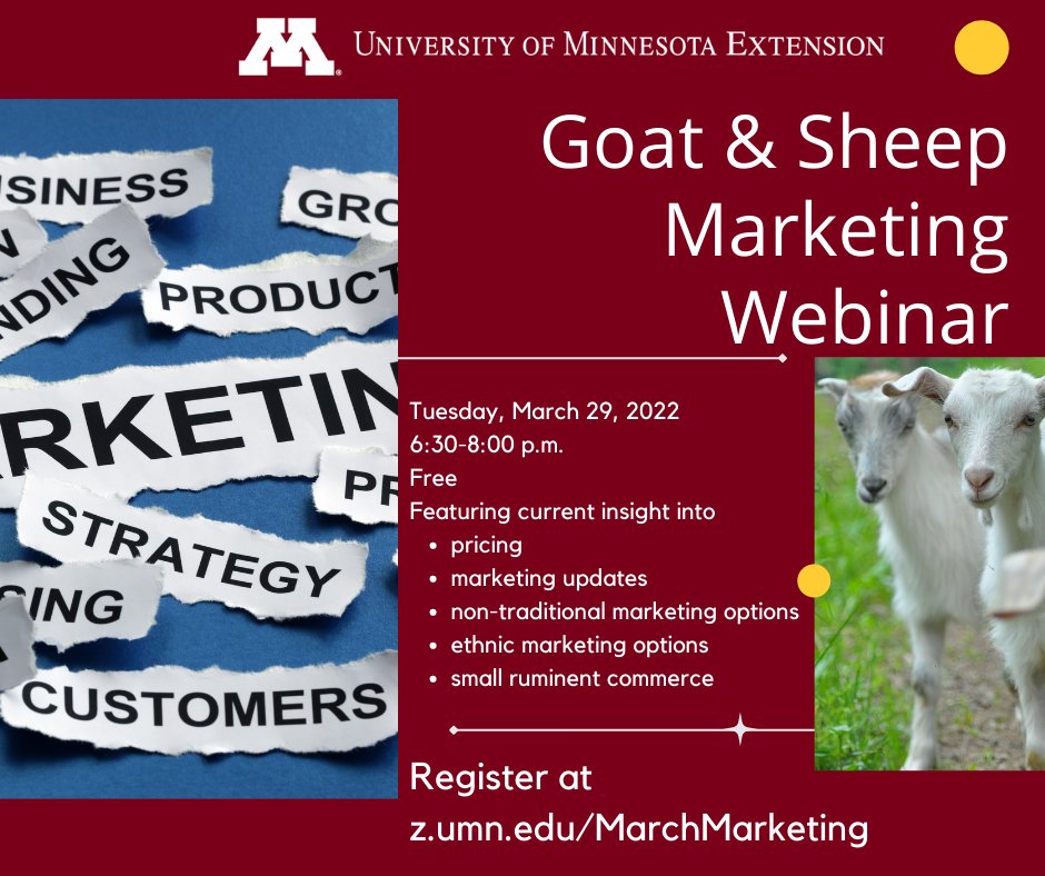 UMNsmallfarms's tweet photo. Register for the upcoming Goat and Sheep marketing webinar at https://t.co/gZlY14UbSZ #Goats #Sheep #SmallFarms #UMNExt #LocalFood #Marketing https://t.co/nWJDq8Xig0