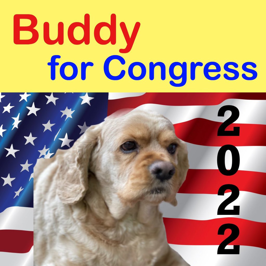 @RepBoebert Hi, I’m Buddy starting my campaign against @RepBoebert We need to replace the worthless dog that is in the House with an actual dog that will do more work for the people!! Contribute to my campaign & retweet #RunBuddyRun2022 to save America