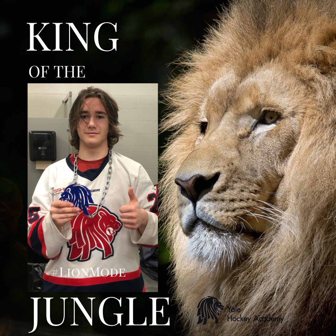 YHA_Lions tweet media