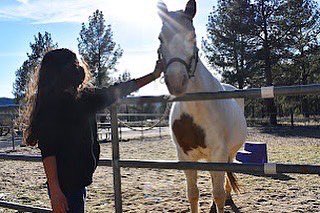TheLaurelFdn's tweet image. A picture can tell a whole story and we are so grateful that @samys_camera always helps us capture the amazing magic that happens at camp! Thank you so much for donating a camera for Winter Family Camp to make sure we could get awesome photos like these!